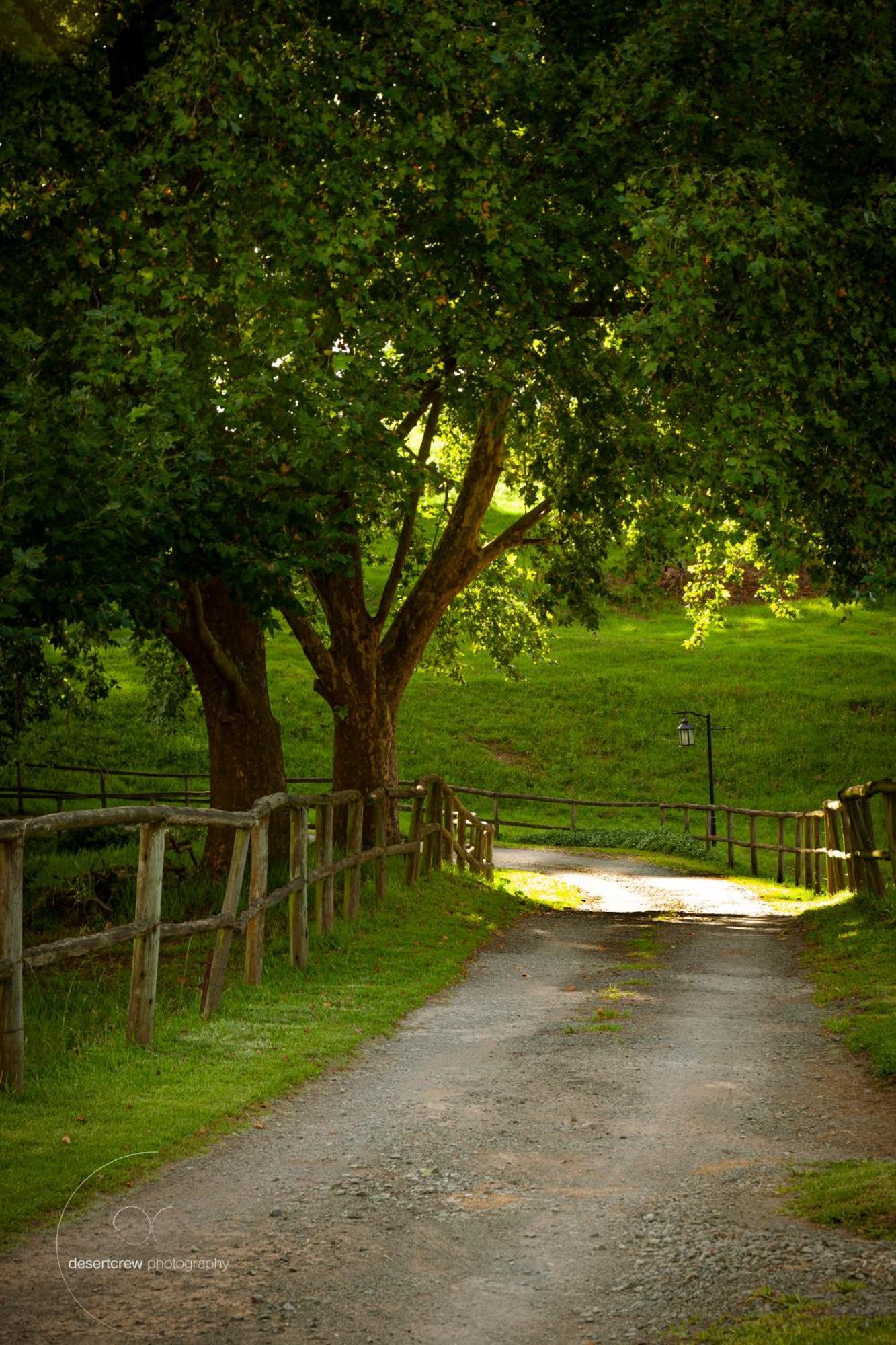 Newstead Farm - Country Cottages Curryʼs Post Buitenkant foto
