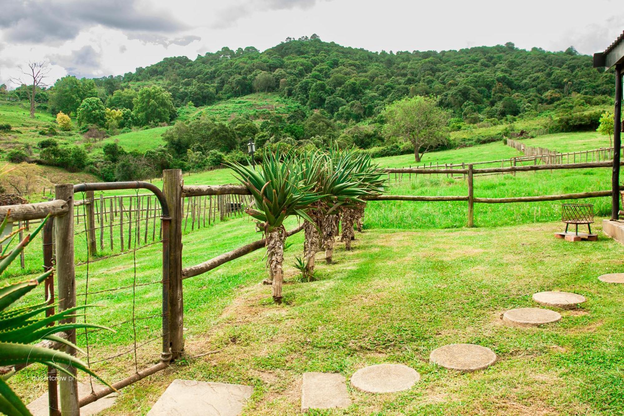 Newstead Farm - Country Cottages Curryʼs Post Buitenkant foto